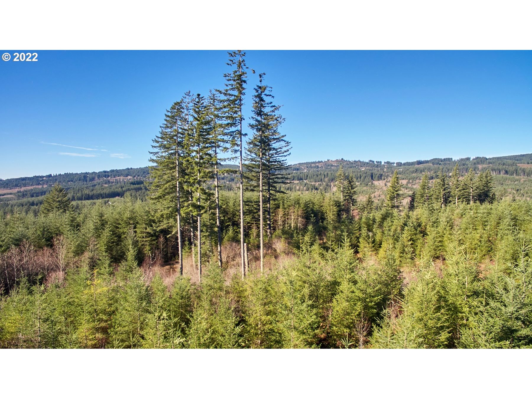 3 Northeast Jones Creek Road Camas, WA 98607 - Photo 17 of 24