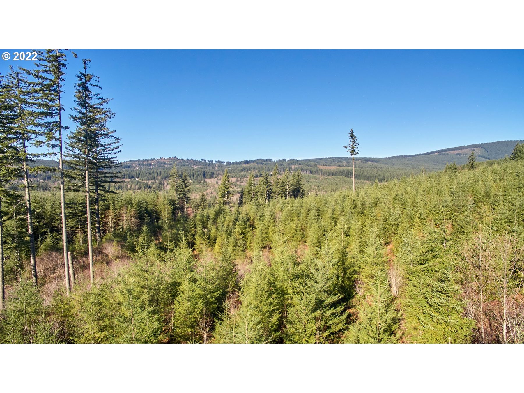 3 Northeast Jones Creek Road Camas, WA 98607 - Photo 18 of 24