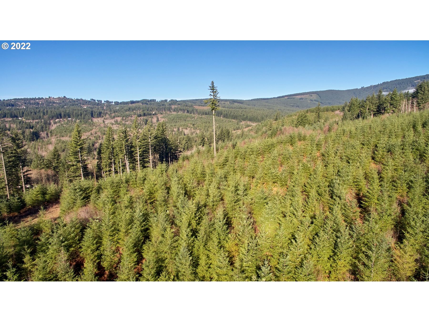 3 Northeast Jones Creek Road Camas, WA 98607 - Photo 19 of 24