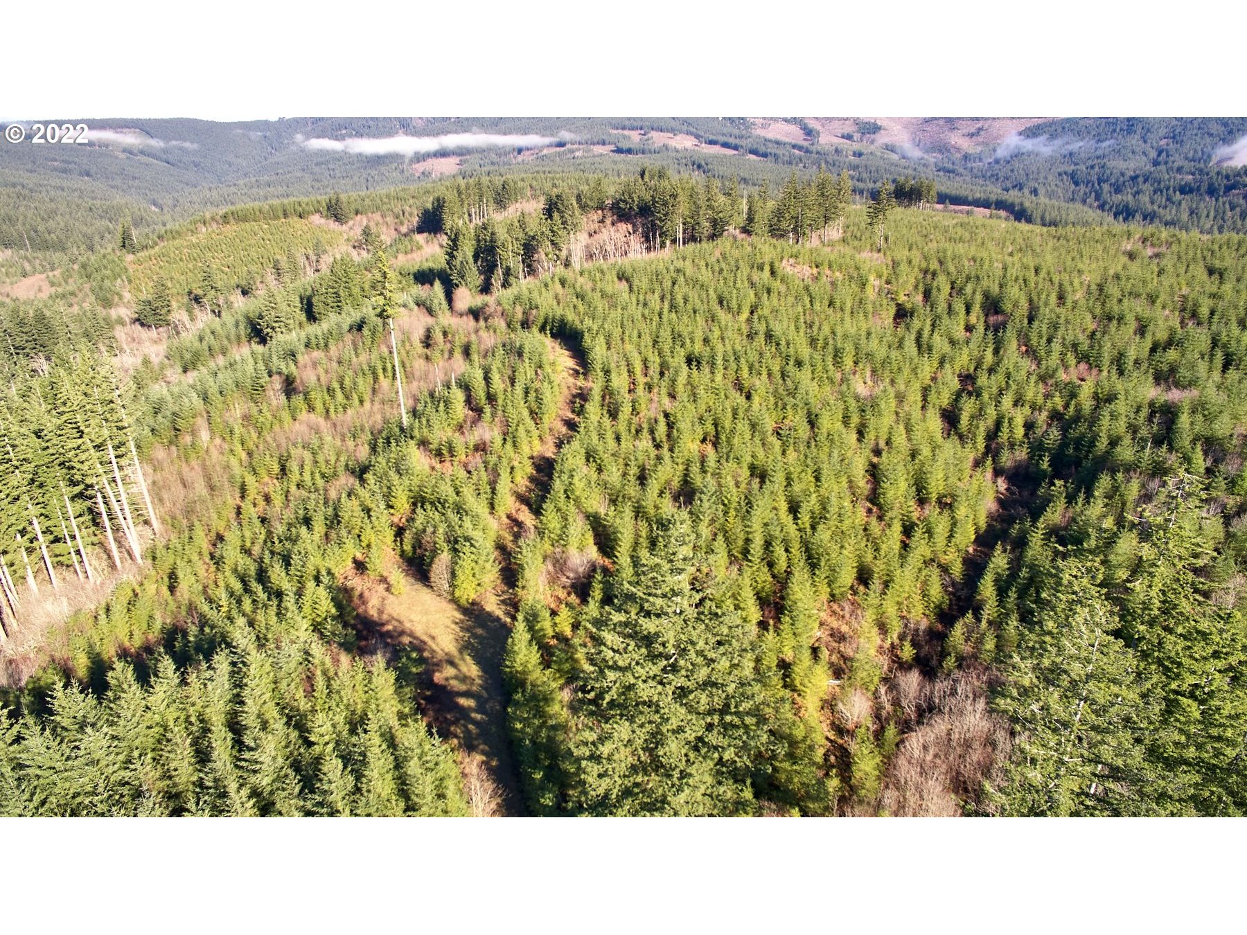 3 Northeast Jones Creek Road Camas, WA 98607 - Photo 2 of 24