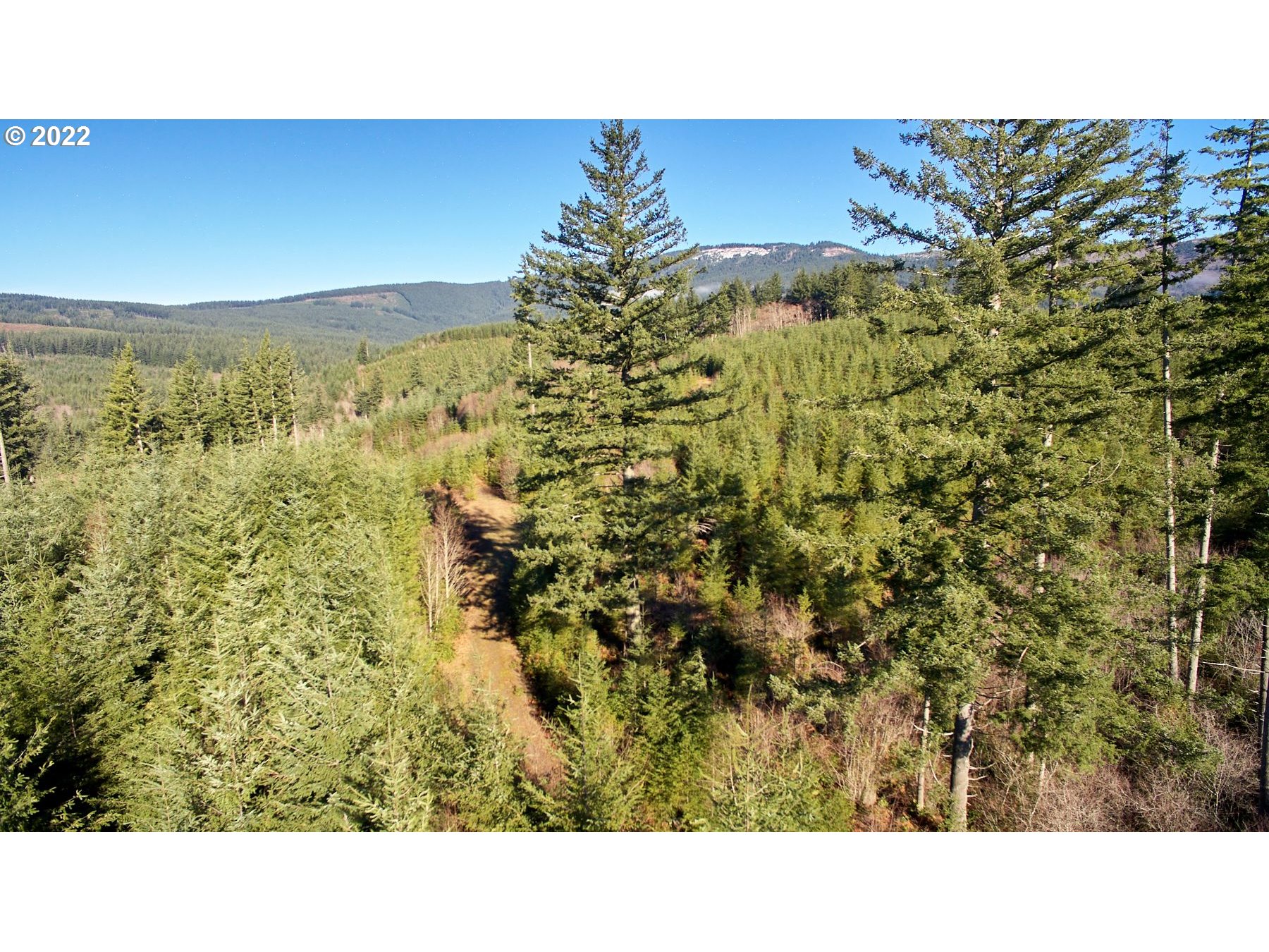 3 Northeast Jones Creek Road Camas, WA 98607 - Photo 21 of 24