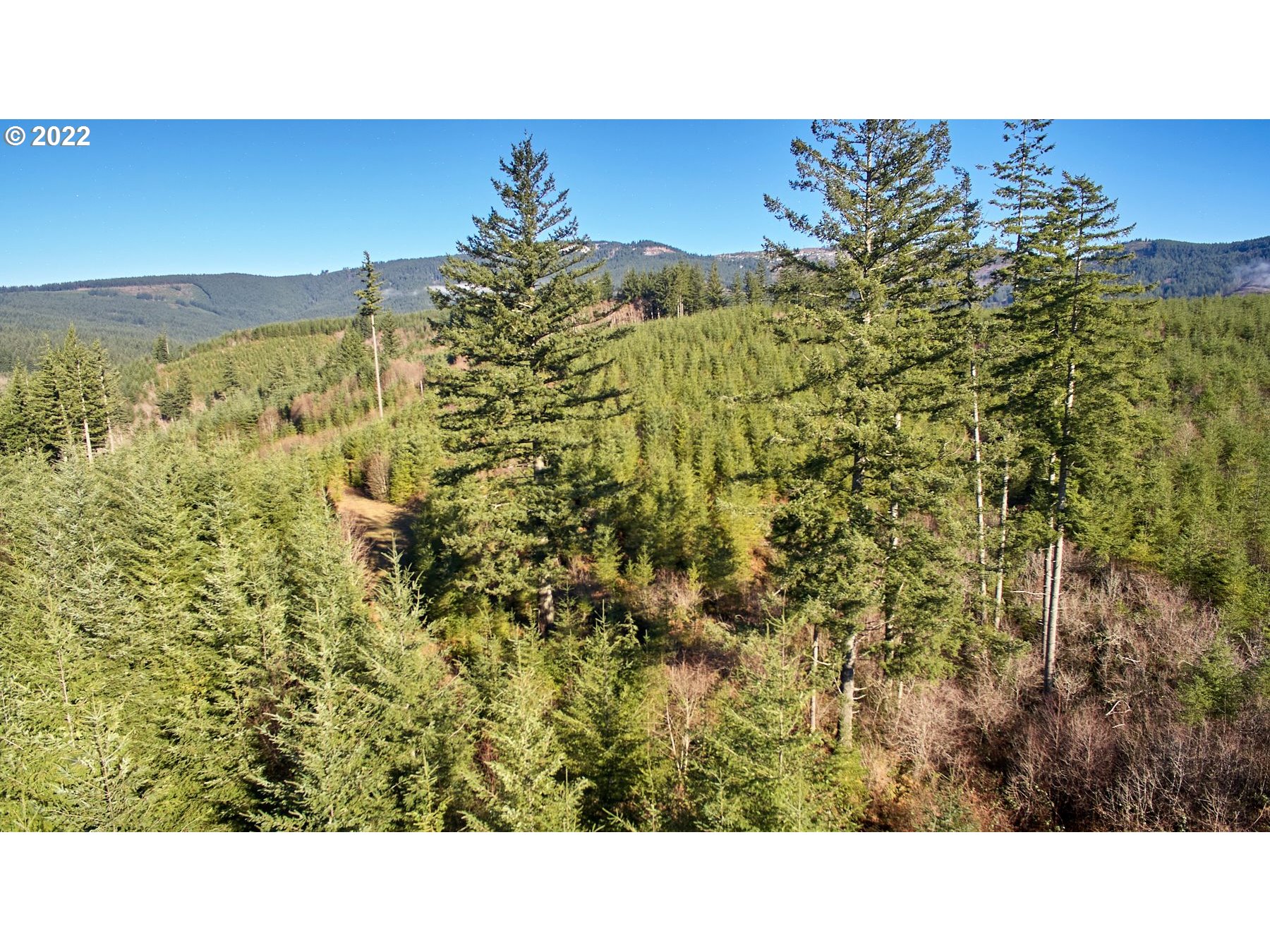 3 Northeast Jones Creek Road Camas, WA 98607 - Photo 22 of 24