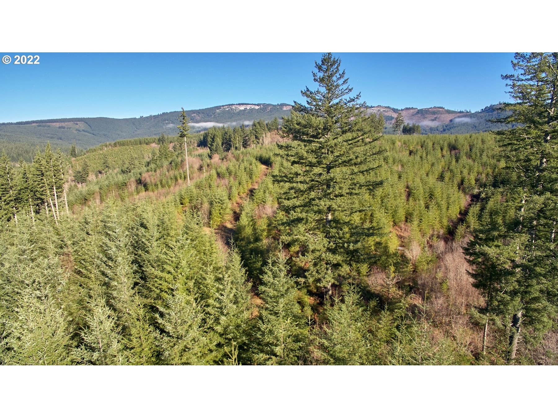 3 Northeast Jones Creek Road Camas, WA 98607 - Photo 23 of 24