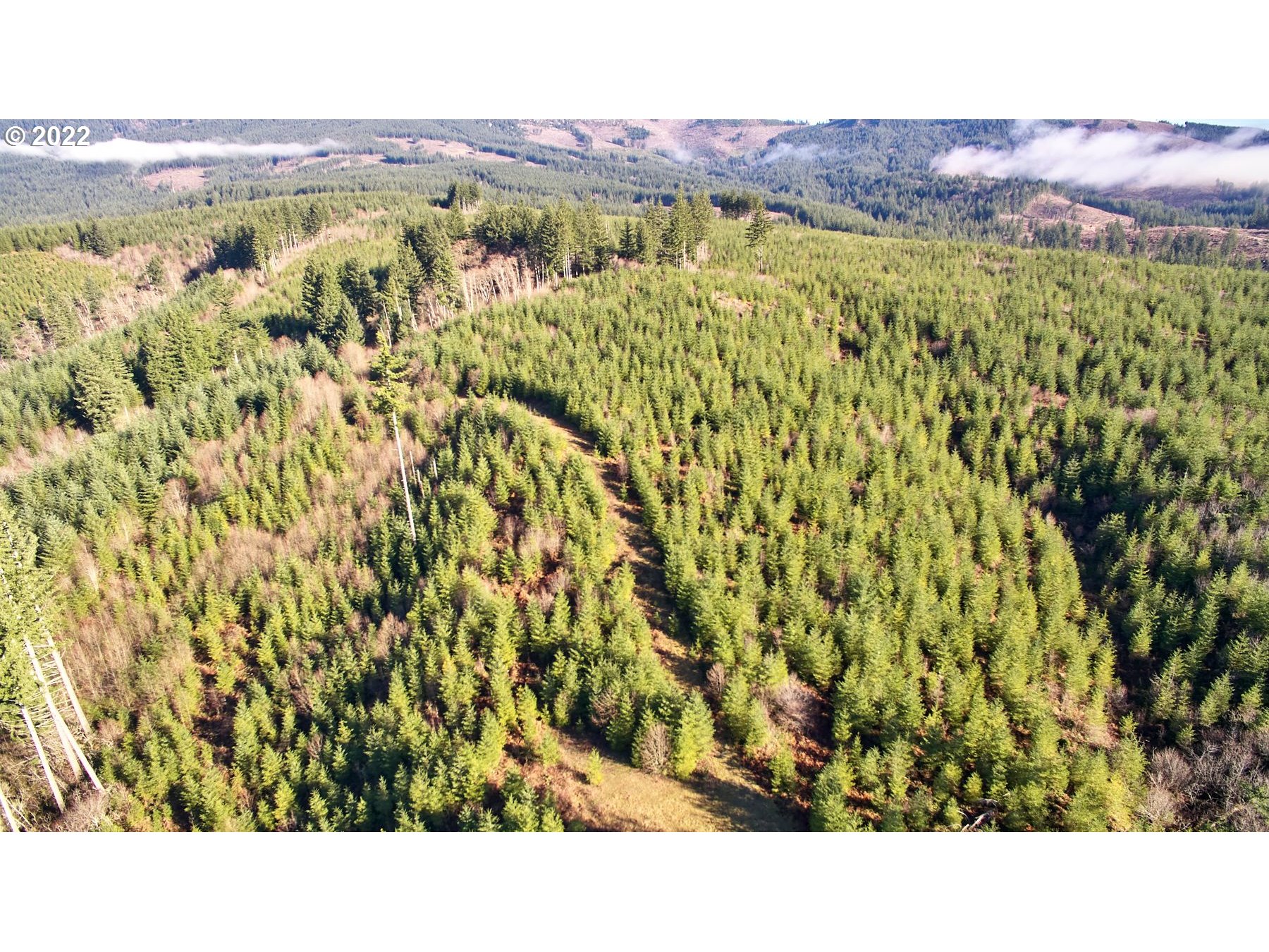 3 Northeast Jones Creek Road Camas, WA 98607 - Photo 3 of 24