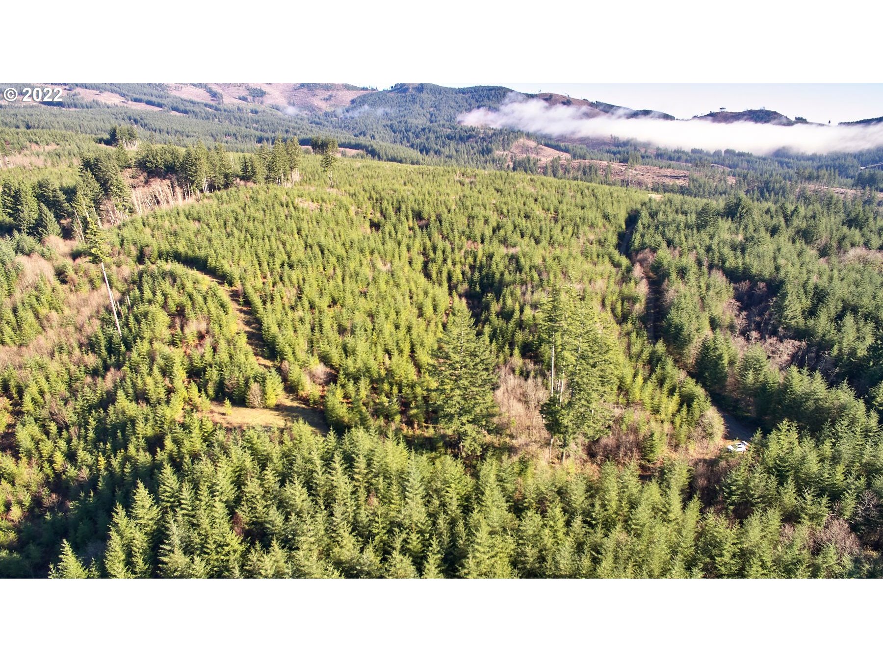 3 Northeast Jones Creek Road Camas, WA 98607 - Photo 4 of 24