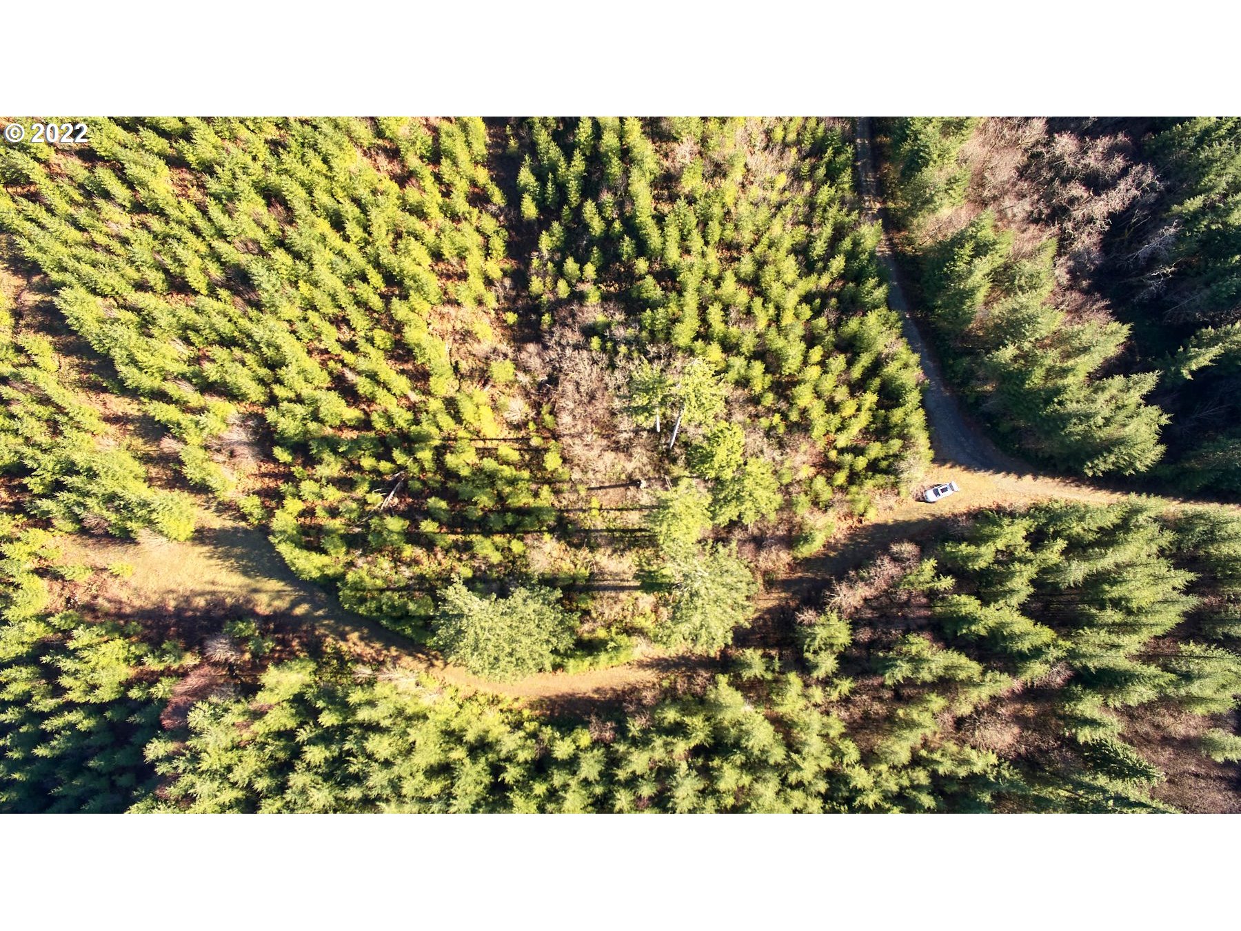 3 Northeast Jones Creek Road Camas, WA 98607 - Photo 5 of 24