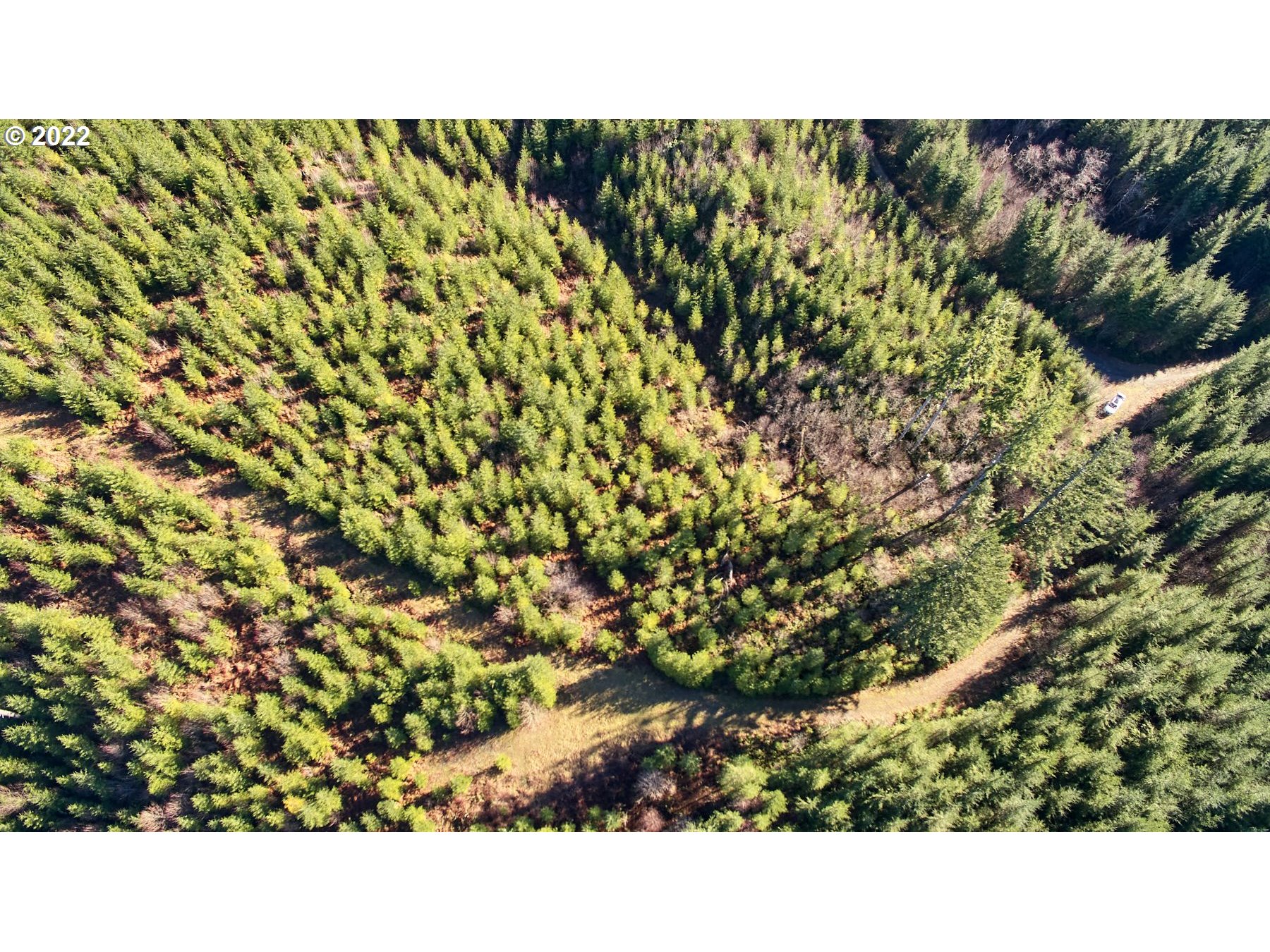 3 Northeast Jones Creek Road Camas, WA 98607 - Photo 6 of 24