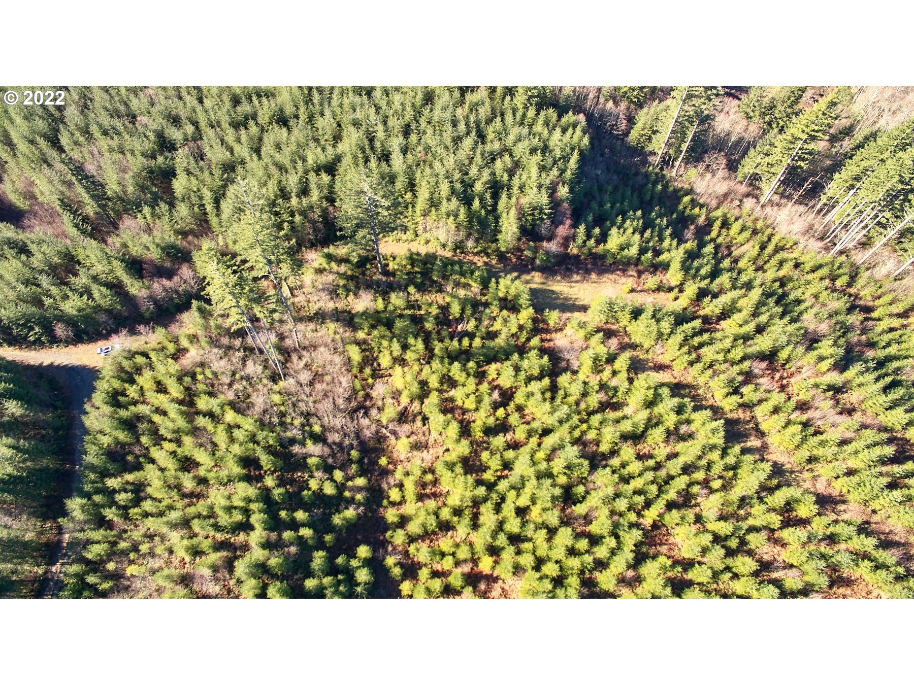 3 Northeast Jones Creek Road Camas, WA 98607 - Photo 7 of 24