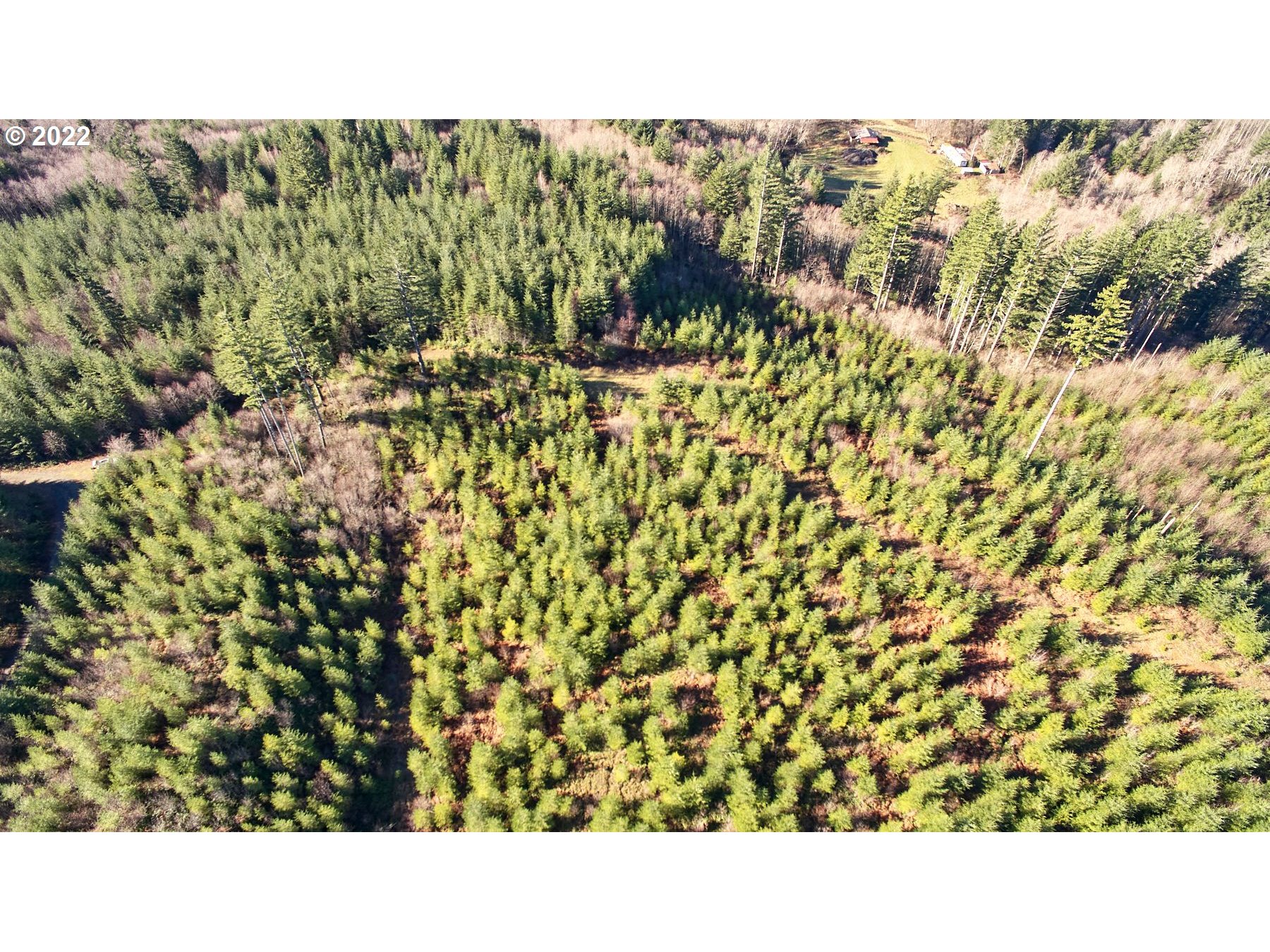 3 Northeast Jones Creek Road Camas, WA 98607 - Photo 8 of 24