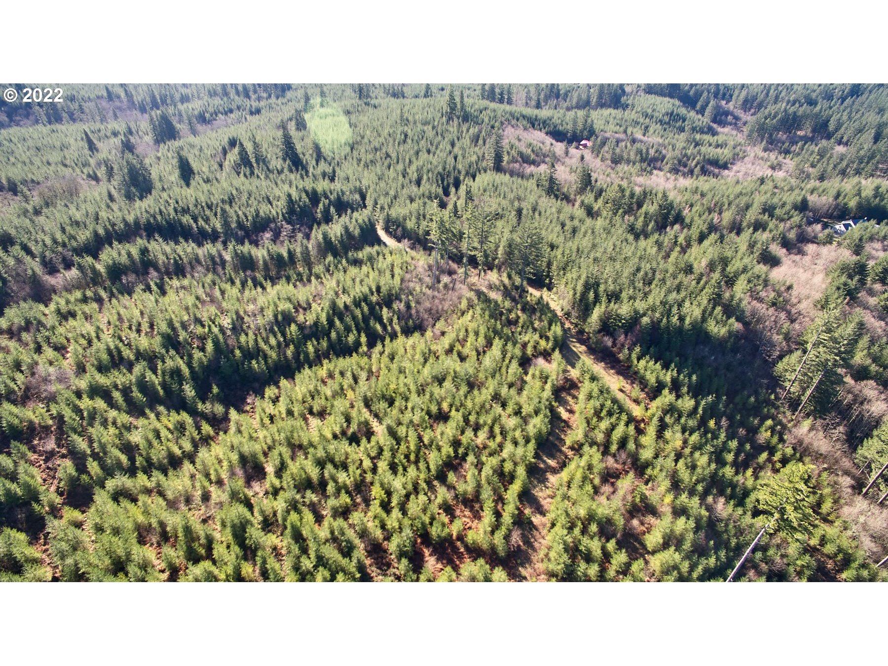 3 Northeast Jones Creek Road Camas, WA 98607 - Photo 9 of 24