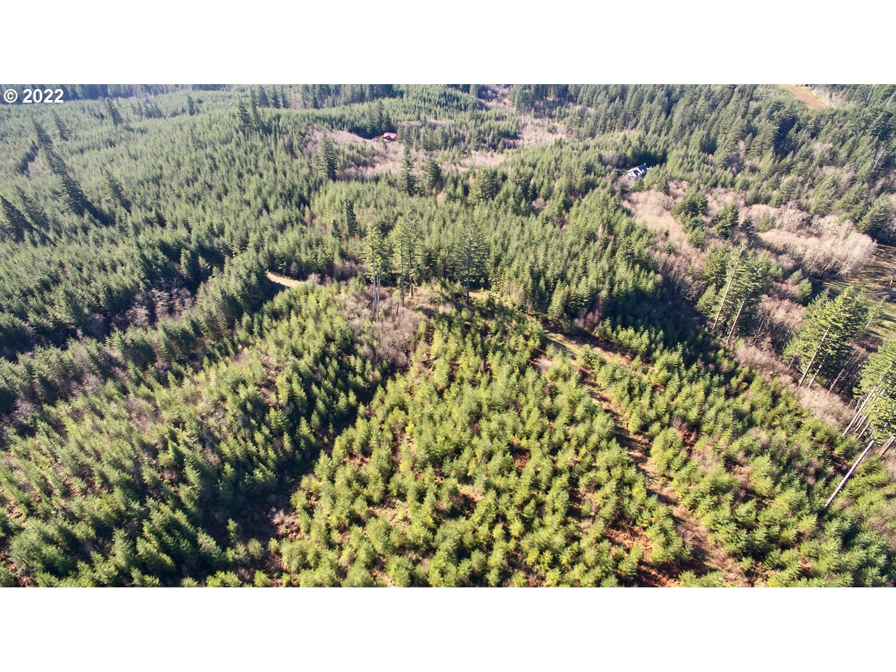 3 Northeast Jones Creek Road Camas, WA 98607 - Photo 10 of 24