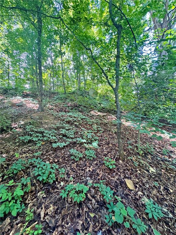 5557 Oakdale Road Southeast Mableton, GA 30126 - Photo 8 of 12