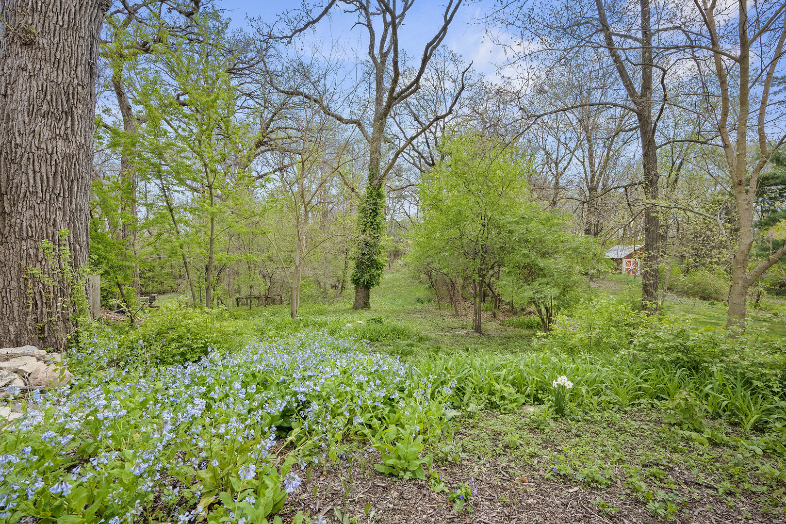 5619 Dunham Road Downers Grove, IL 60516 - Photo 29 of 30 Gallery Image 29