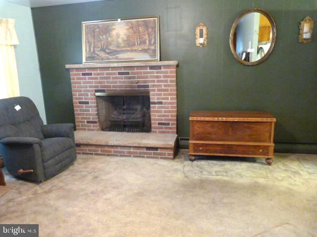 101 Harvard Road Hagerstown, MD 21742 - Photo 13 of 19 Living room with fireplace