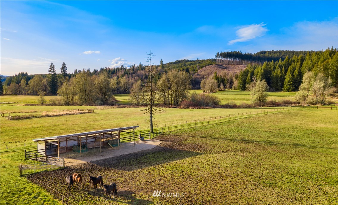 1804 Bunker Creek Road Chehalis, WA 98532 - Photo 30 of 37 Gallery Image 30