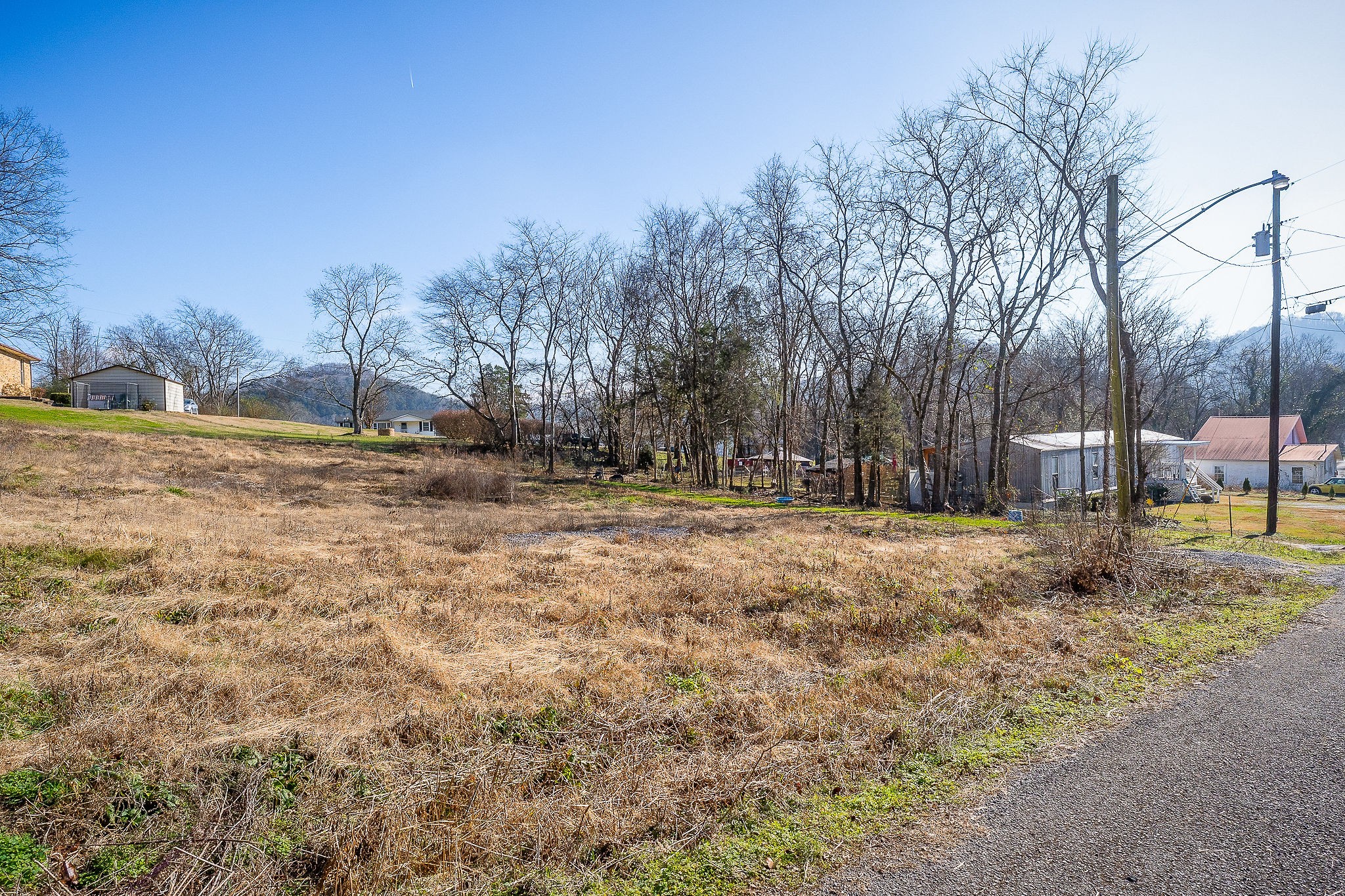 112 Stone Street Liberty, TN 37095 - Photo 2 of 14 a view of dirt yard with trees