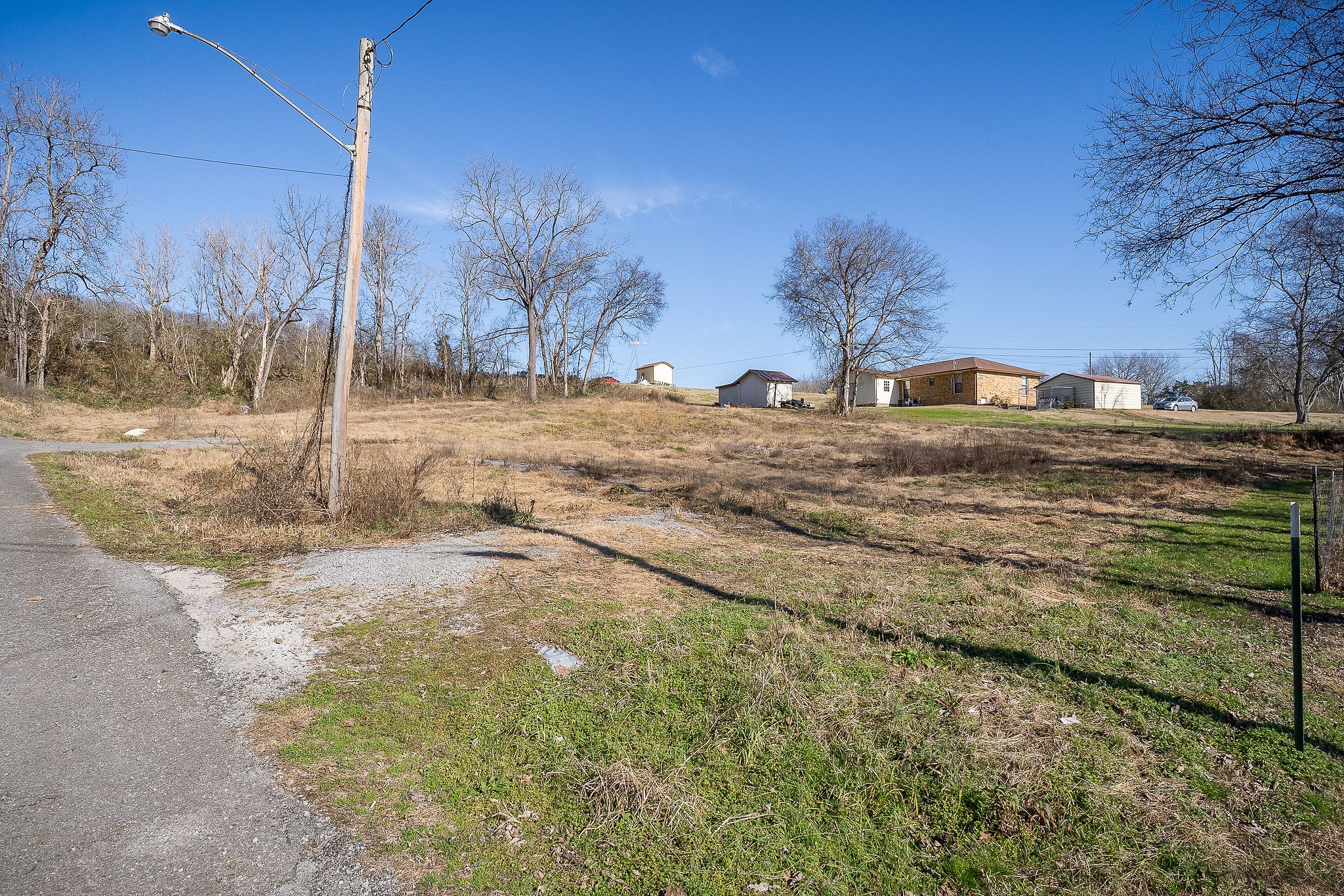 112 Stone Street Liberty, TN 37095 - Photo 5 of 14 a view of a yard with large trees