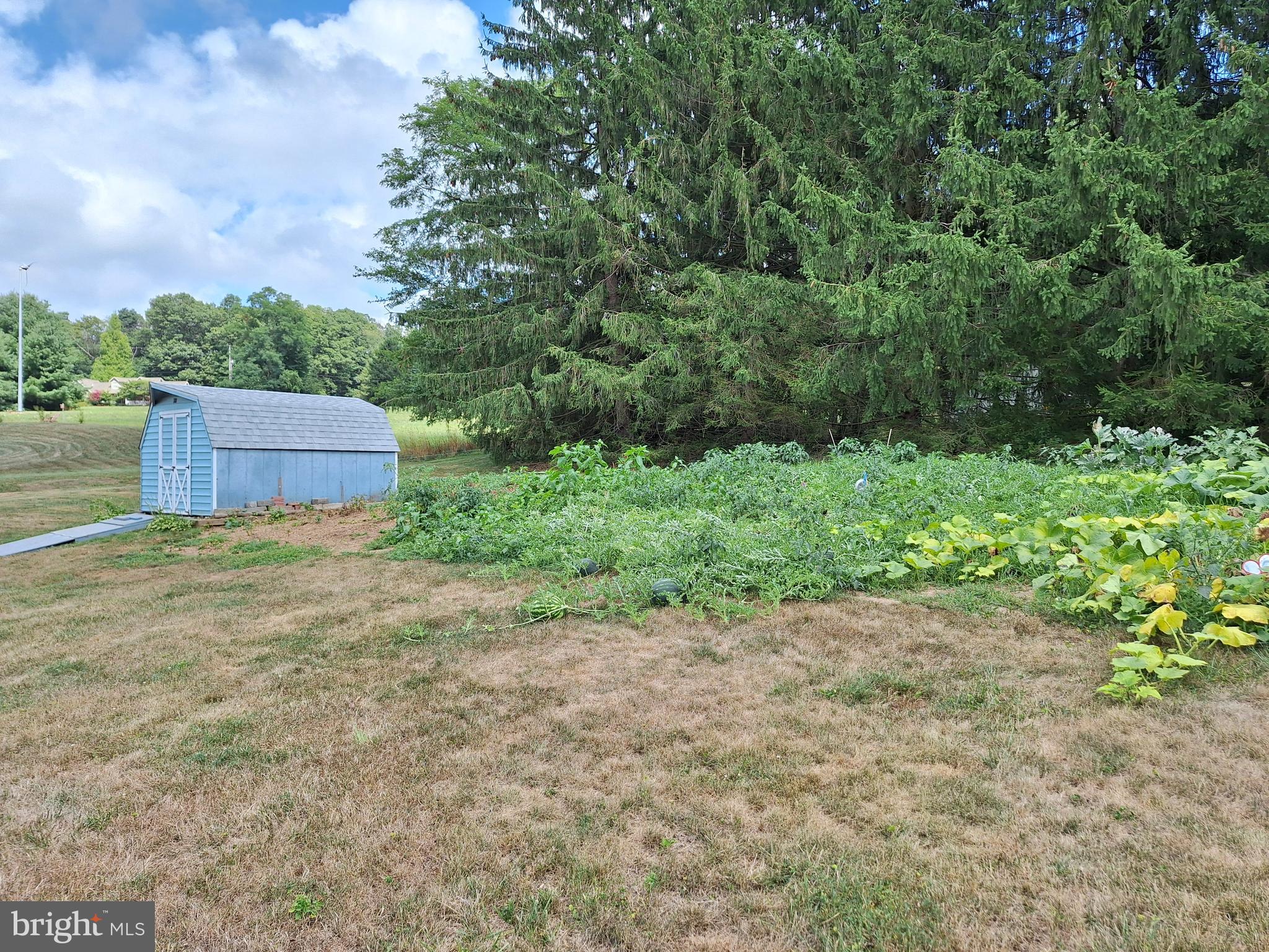 1080 Manor Road Windsor, PA 17366 - Photo 40 of 44 Back Garden area with Shed