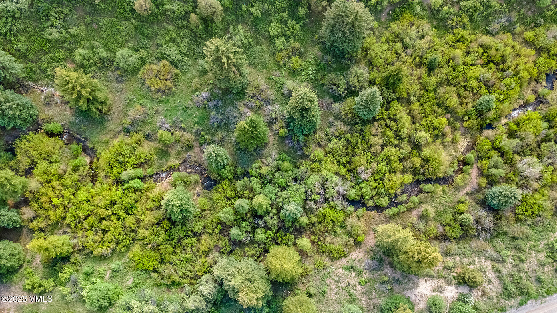 Arena Salt Creek Road Eagle, CO 81631 - Photo 6 of 19 a view of a lush green forest with a tree