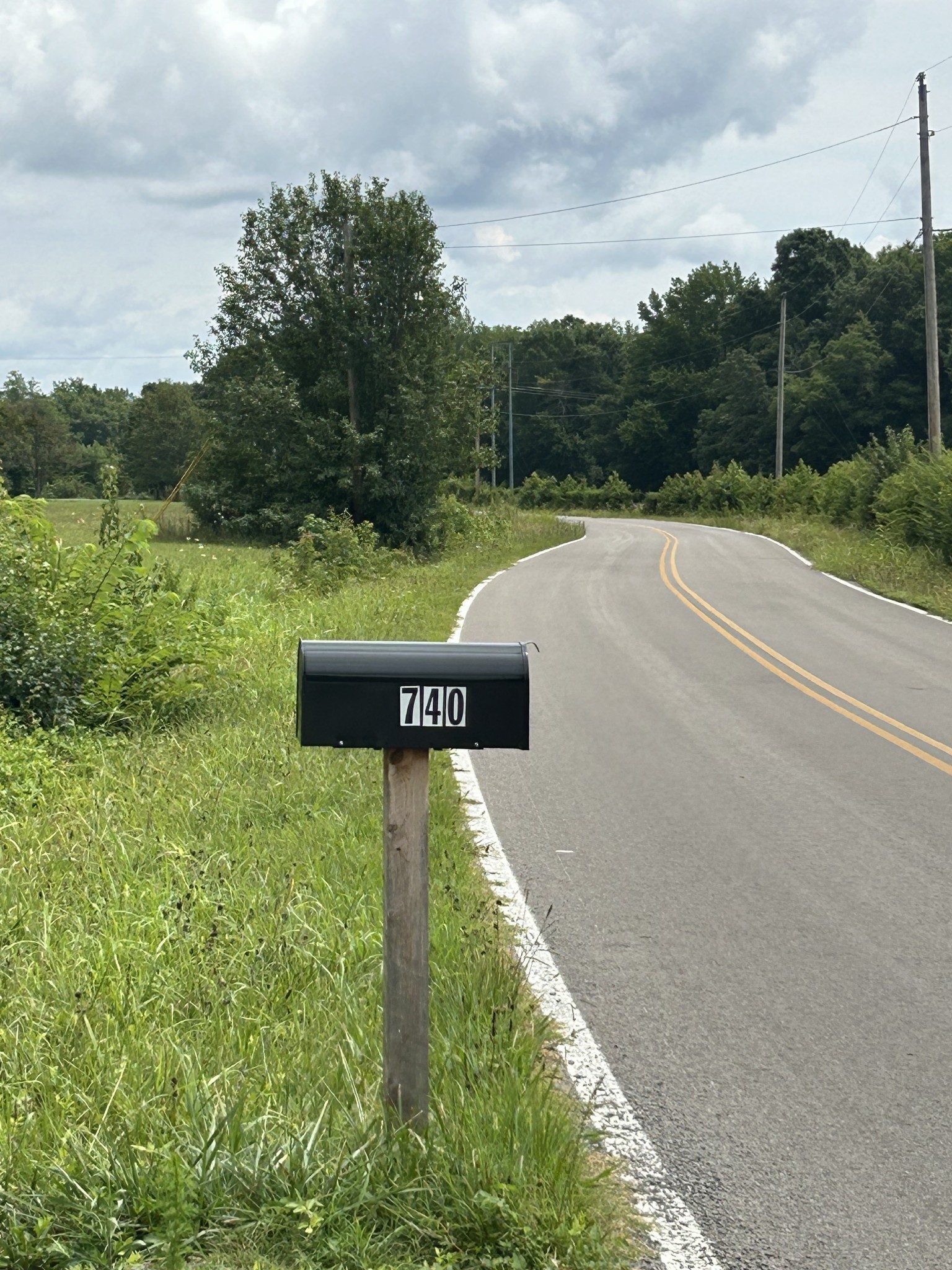 740 Moores College Road Smithville, TN 37166 - Photo 2 of 7 a view of a garden from a terrace