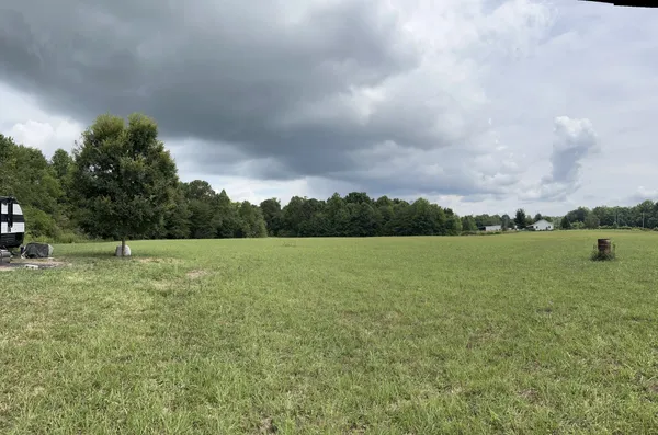 a view of a field of grass and trees