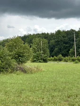 a view of an outdoor space and a yard