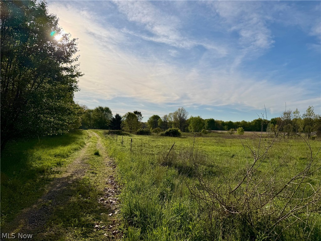 9200 Horn Road Windham, OH 44288 - Photo 18 of 41