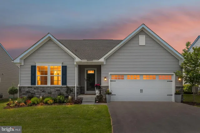 a front view of a house with a yard and potted plants