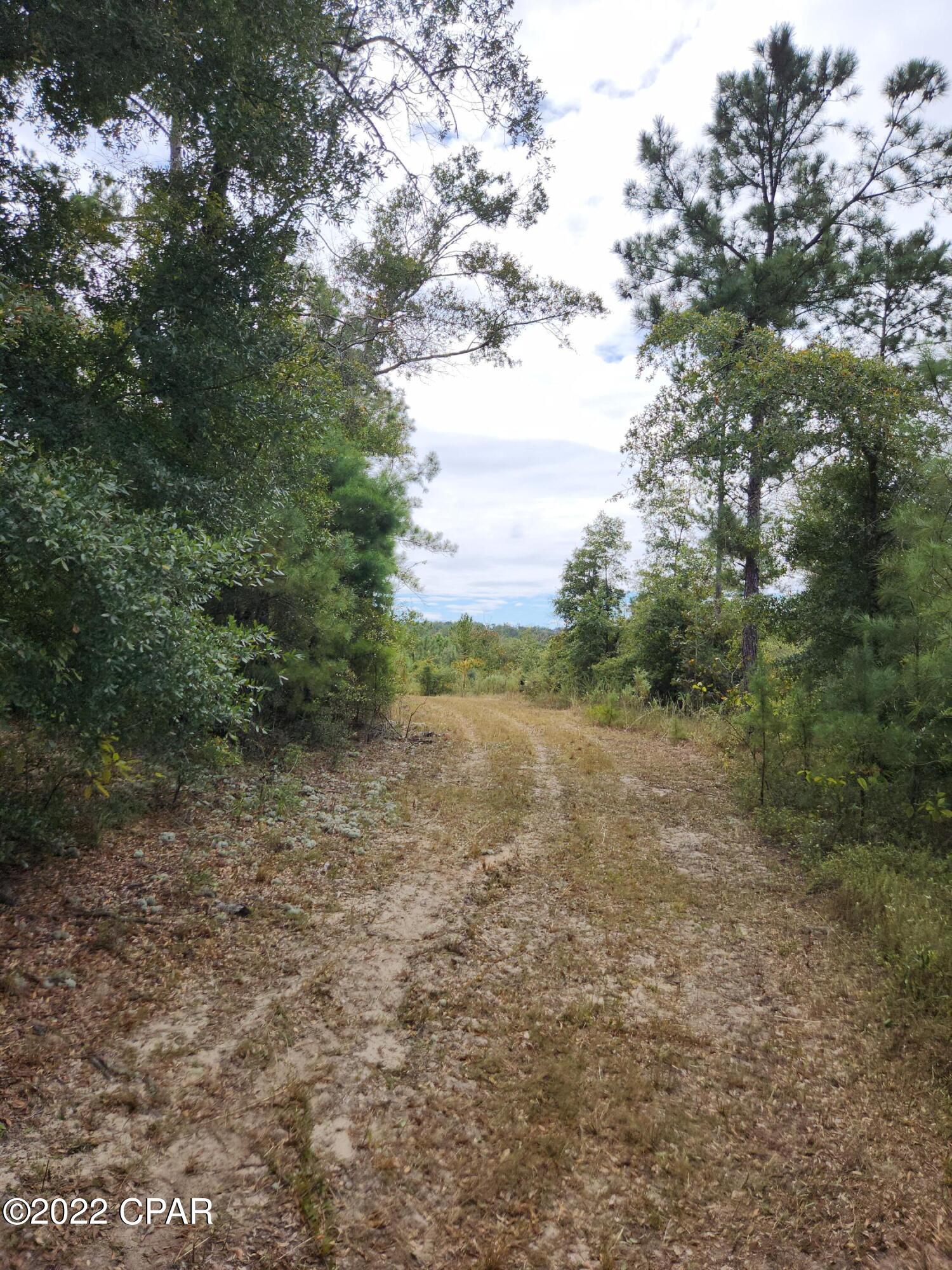 Xxx Richard Hardy Road West Bristol, FL 32321 - Photo 10 of 23
