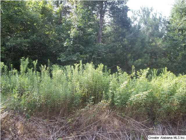 0 Mudd Street, Unit 4 48 AC Ohatchee, AL 36271 - Photo 12 of 12