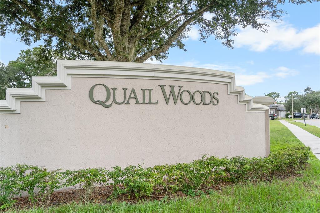 7040 Frascati Loop Wesley Chapel, FL 33544 - Photo 55 of 55 Gallery Image 55