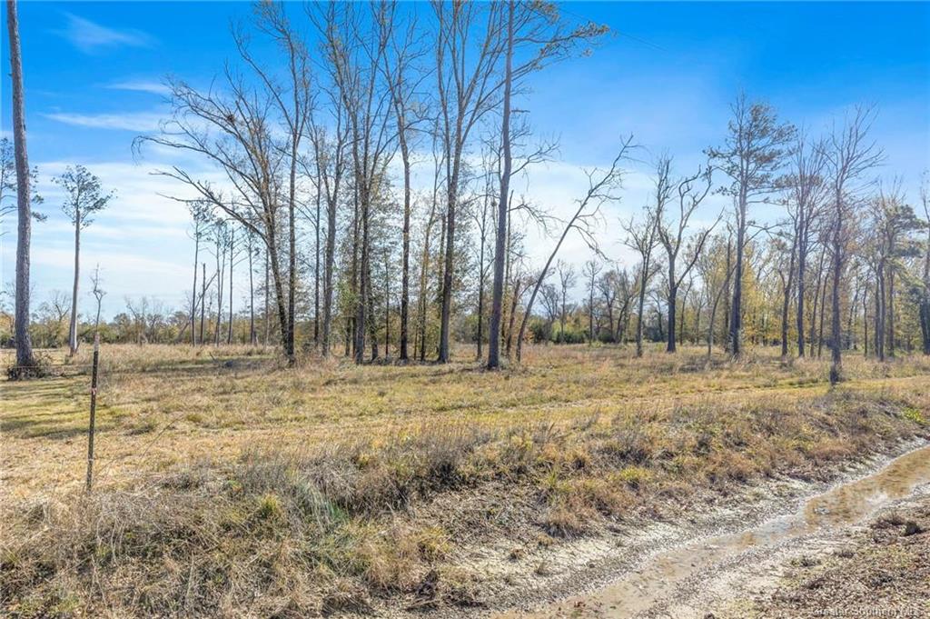 0 Mattie Reeves Road Lake Charles, LA 70611 - Photo 3 of 7