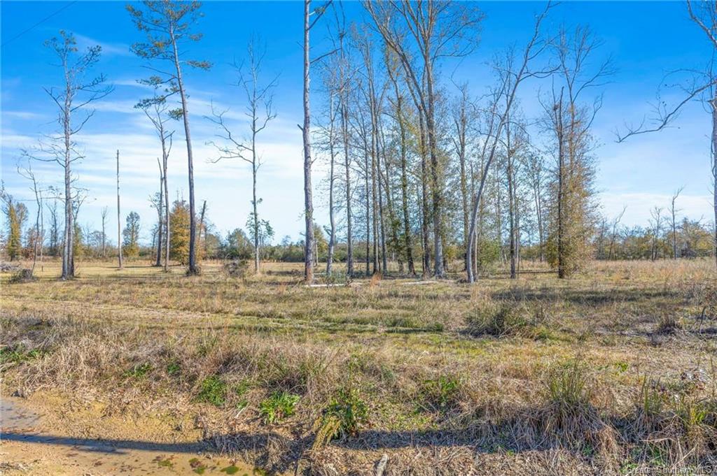 0 Mattie Reeves Road Lake Charles, LA 70611 - Photo 4 of 7