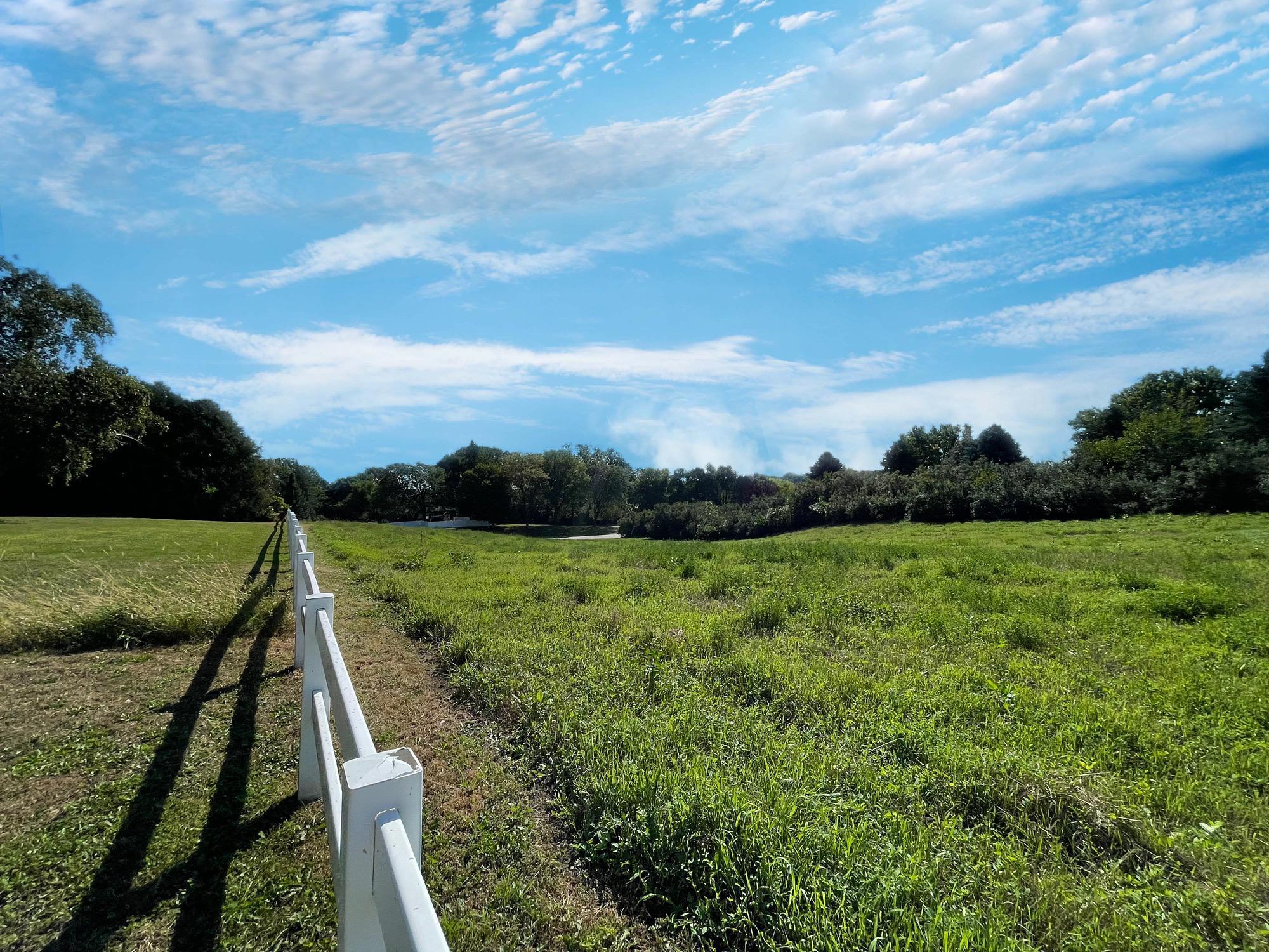 18375 County Road 4 Springfield, MN 56087 - Photo 5 of 72