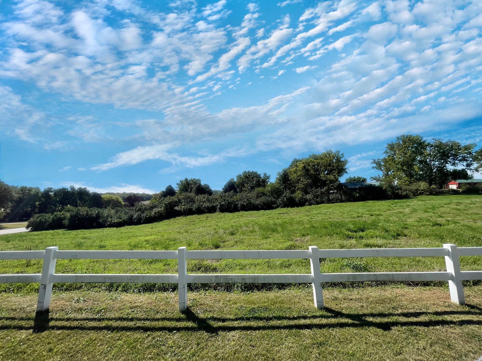 18375 County Road 4 Springfield, MN 56087 - Photo 71 of 72