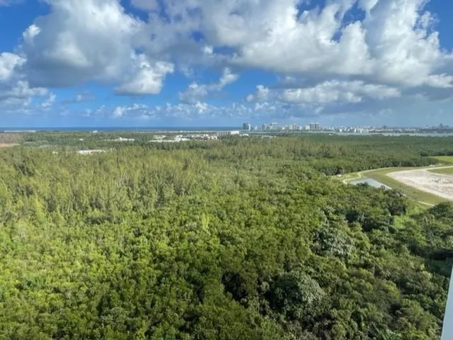a view of a field of an lake and trees