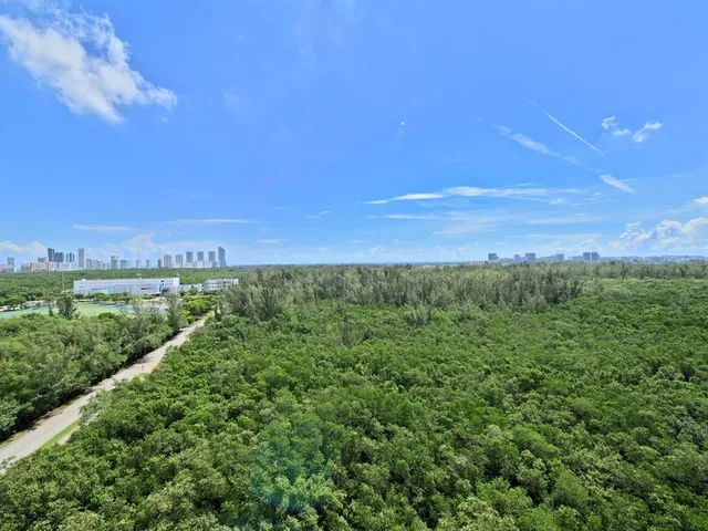 a view of a green field