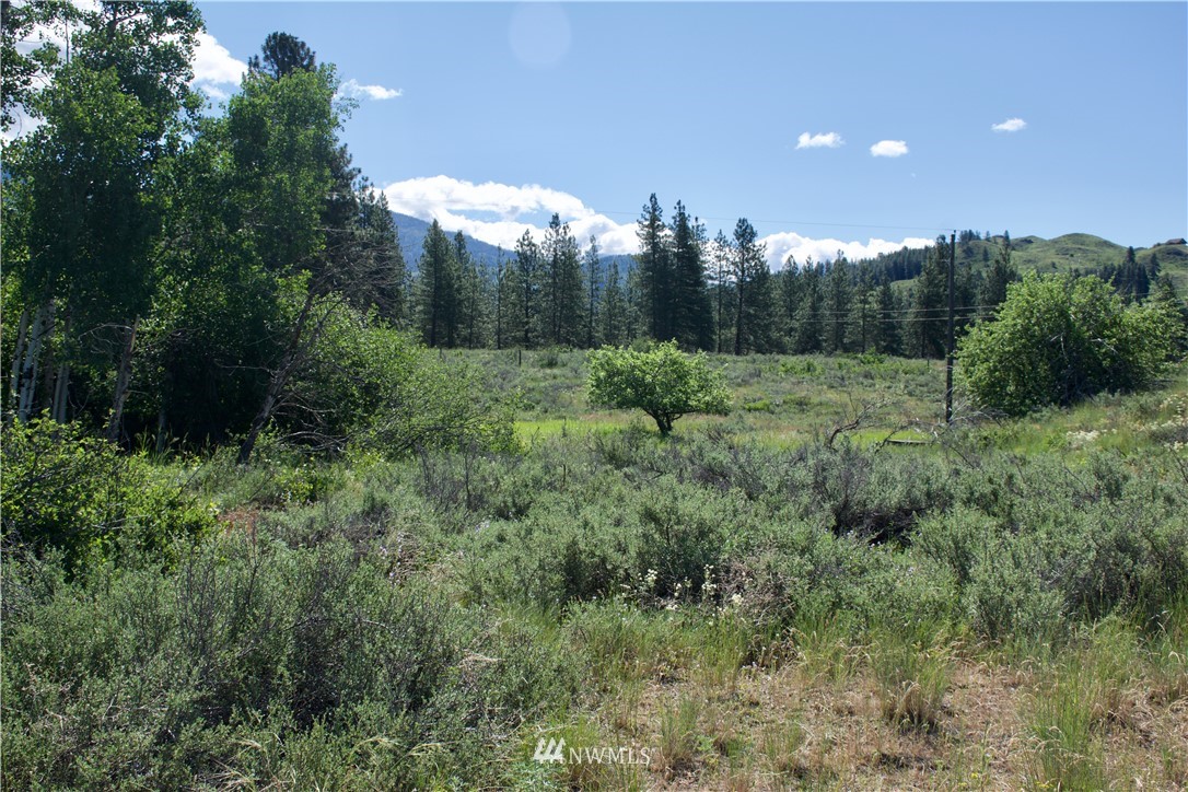 9 Northcott Road Winthrop, WA 98862 - Photo 1 of 14 Gallery Image 1