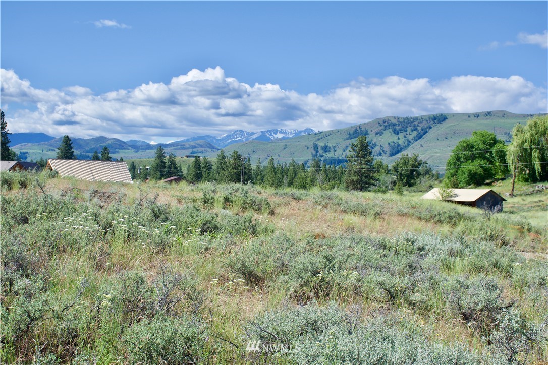 9 Northcott Road Winthrop, WA 98862 - Photo 2 of 14 Gallery Image 2