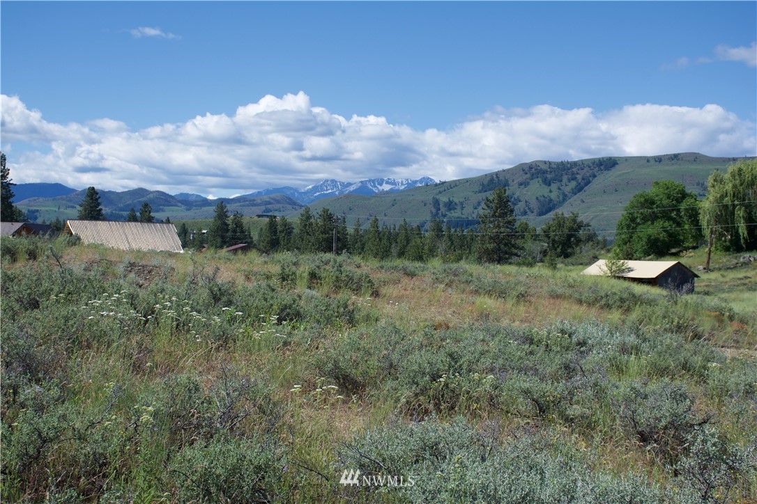 9 Northcott Road Winthrop, WA 98862 - Photo 11 of 14 Gallery Image 11