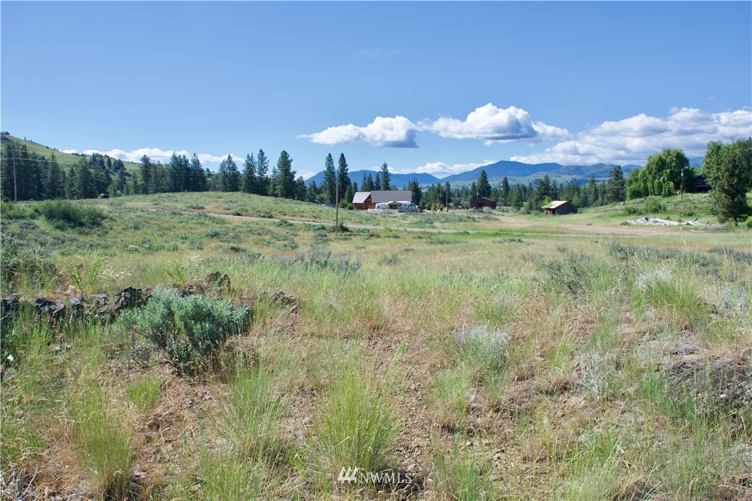 9 Northcott Road Winthrop, WA 98862 - Photo 12 of 14 Gallery Image 12
