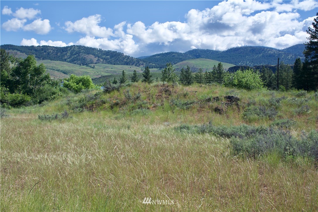 9 Northcott Road Winthrop, WA 98862 - Photo 13 of 14 Gallery Image 13