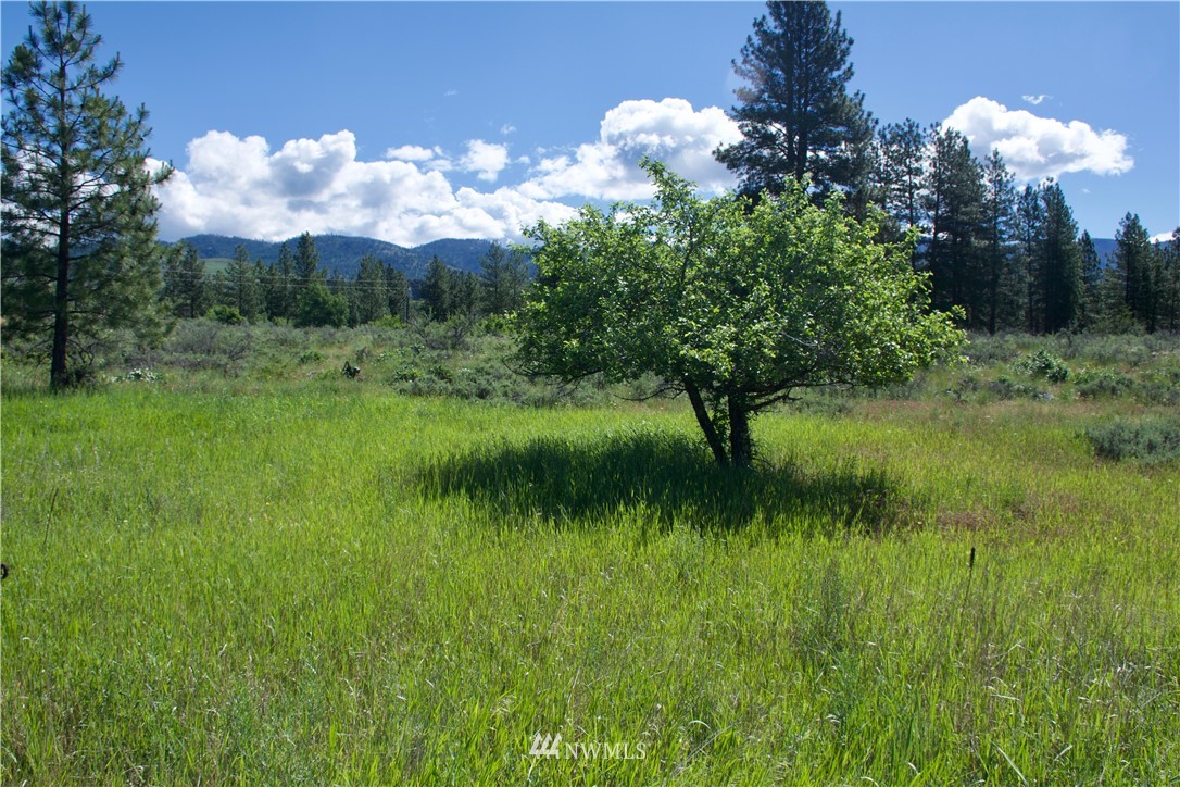 9 Northcott Road Winthrop, WA 98862 - Photo 14 of 14 Gallery Image 14