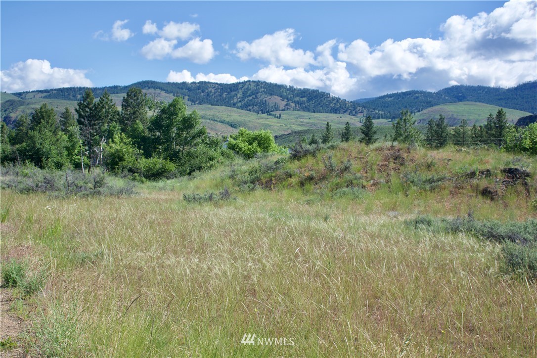 9 Northcott Road Winthrop, WA 98862 - Photo 3 of 14 Gallery Image 3