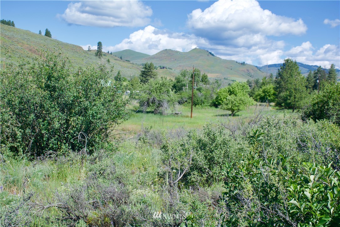 9 Northcott Road Winthrop, WA 98862 - Photo 4 of 14 Gallery Image 4