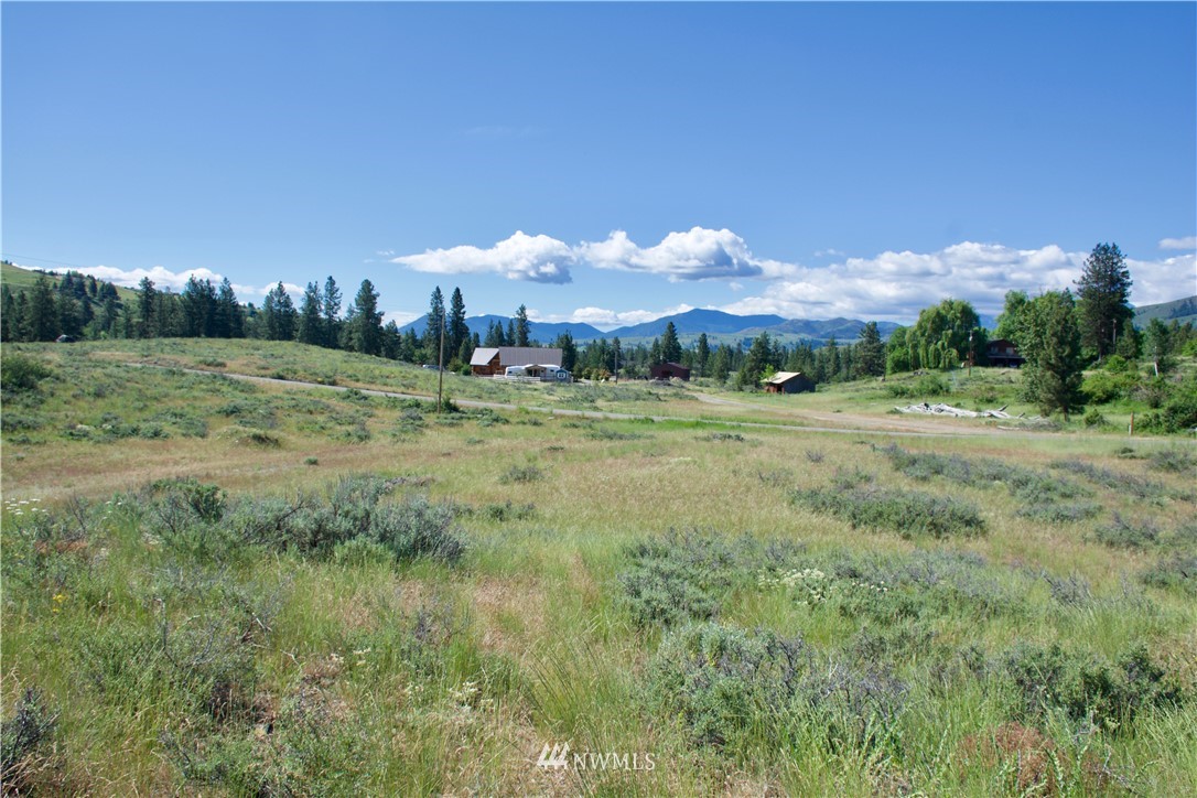 9 Northcott Road Winthrop, WA 98862 - Photo 5 of 14 Gallery Image 5