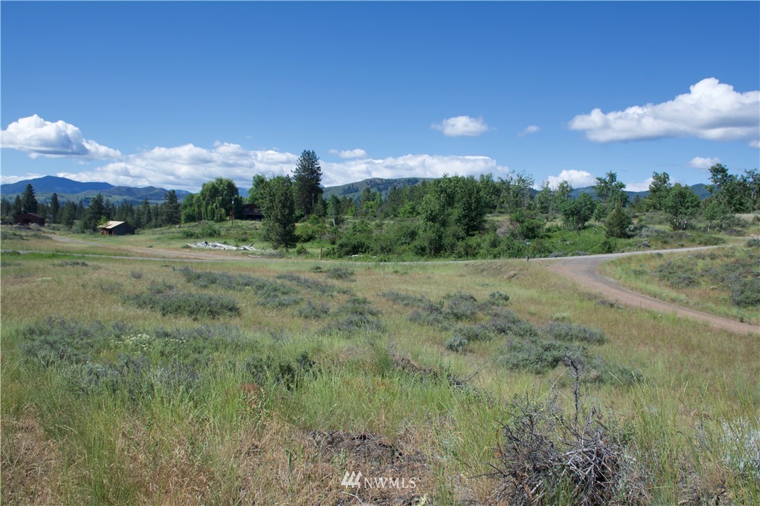 9 Northcott Road Winthrop, WA 98862 - Photo 6 of 14 Gallery Image 6
