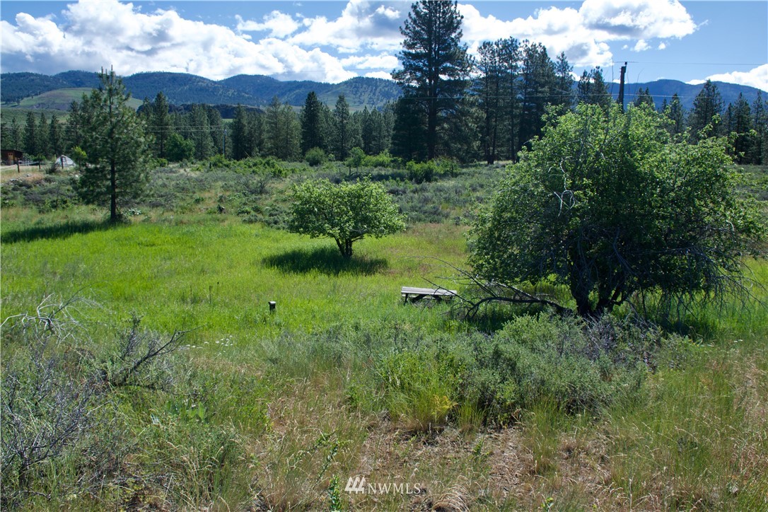 9 Northcott Road Winthrop, WA 98862 - Photo 7 of 14 Gallery Image 7