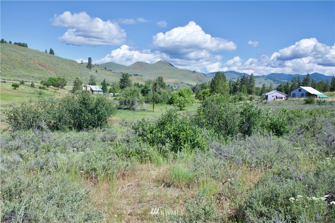 9 Northcott Road Winthrop, WA 98862 - Photo 10 of 14 Gallery Image 10