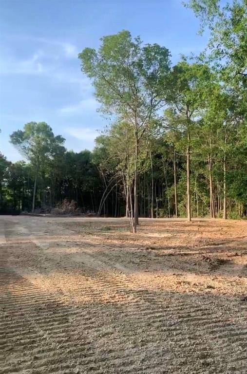 0 Raleigh Reed Road Sulphur, LA 70663 - Photo 3 of 6 Gallery Image 3